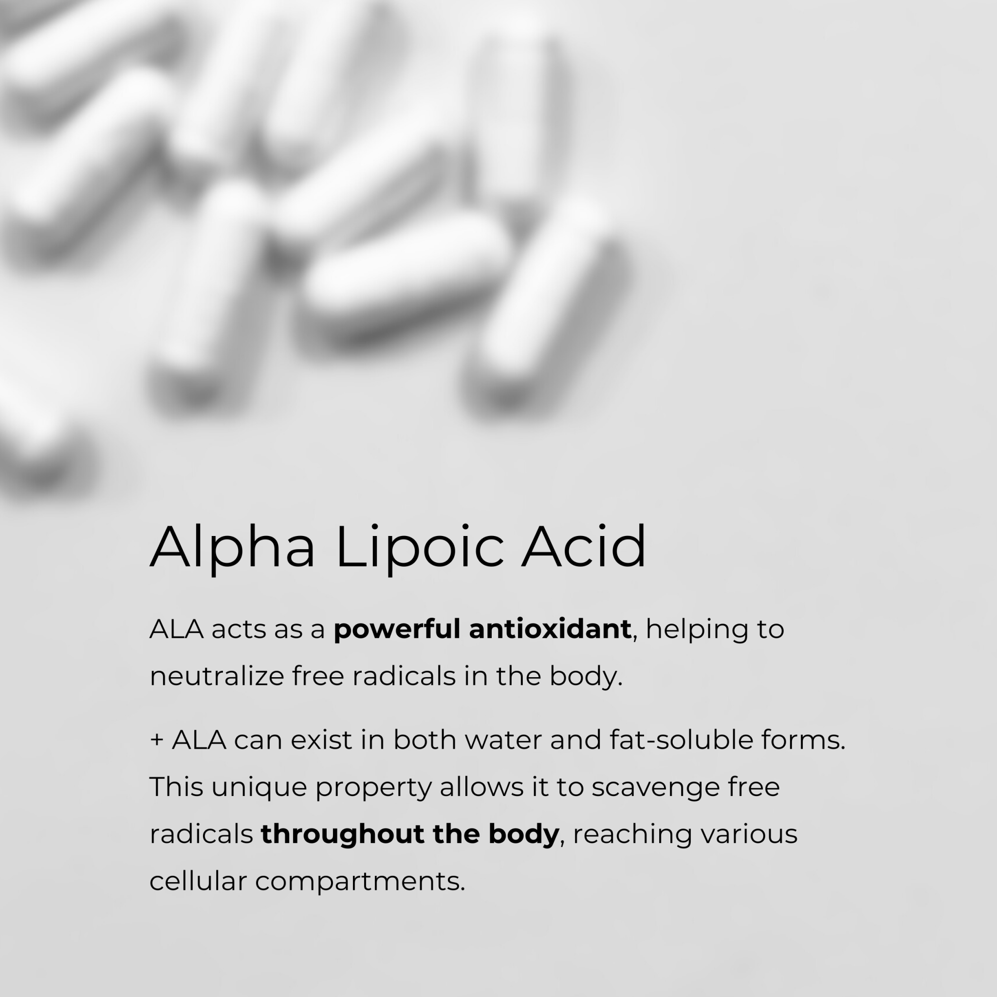 Alpha Lipoic Acid 1000mg - Charava UK